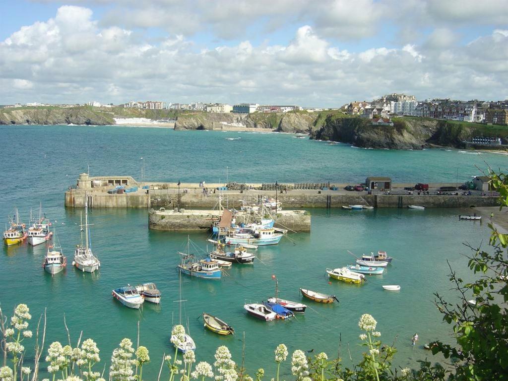 Abreakaway Lodge New Quay Buitenkant foto